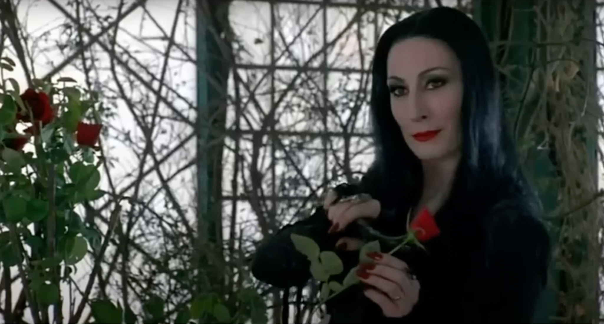 morticia-addams-feminist-icon-anjelica-huston