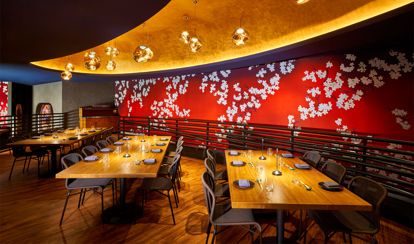 Best New Dallas Restaurants - Light wood interiors and a red and white floral mural at Komodo.