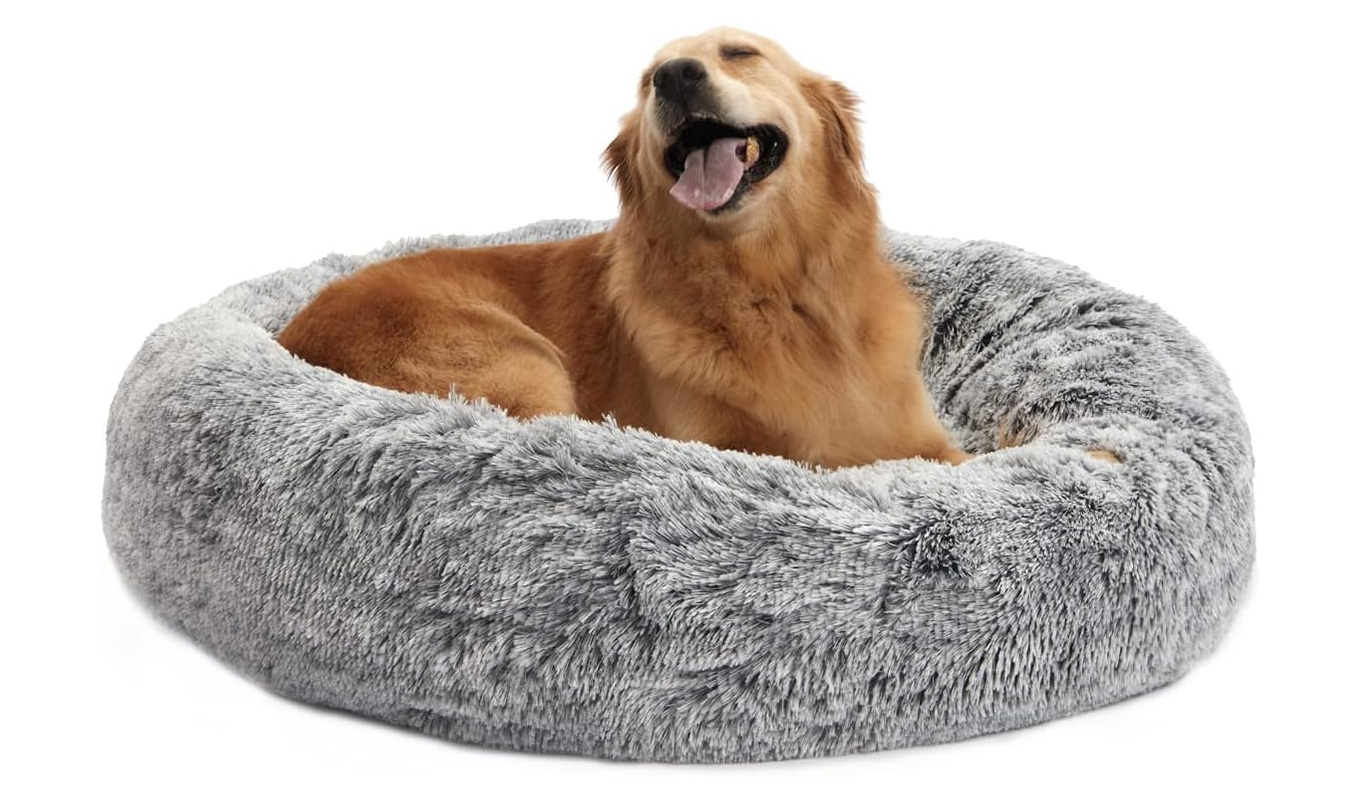 amazon pet day bedfolks