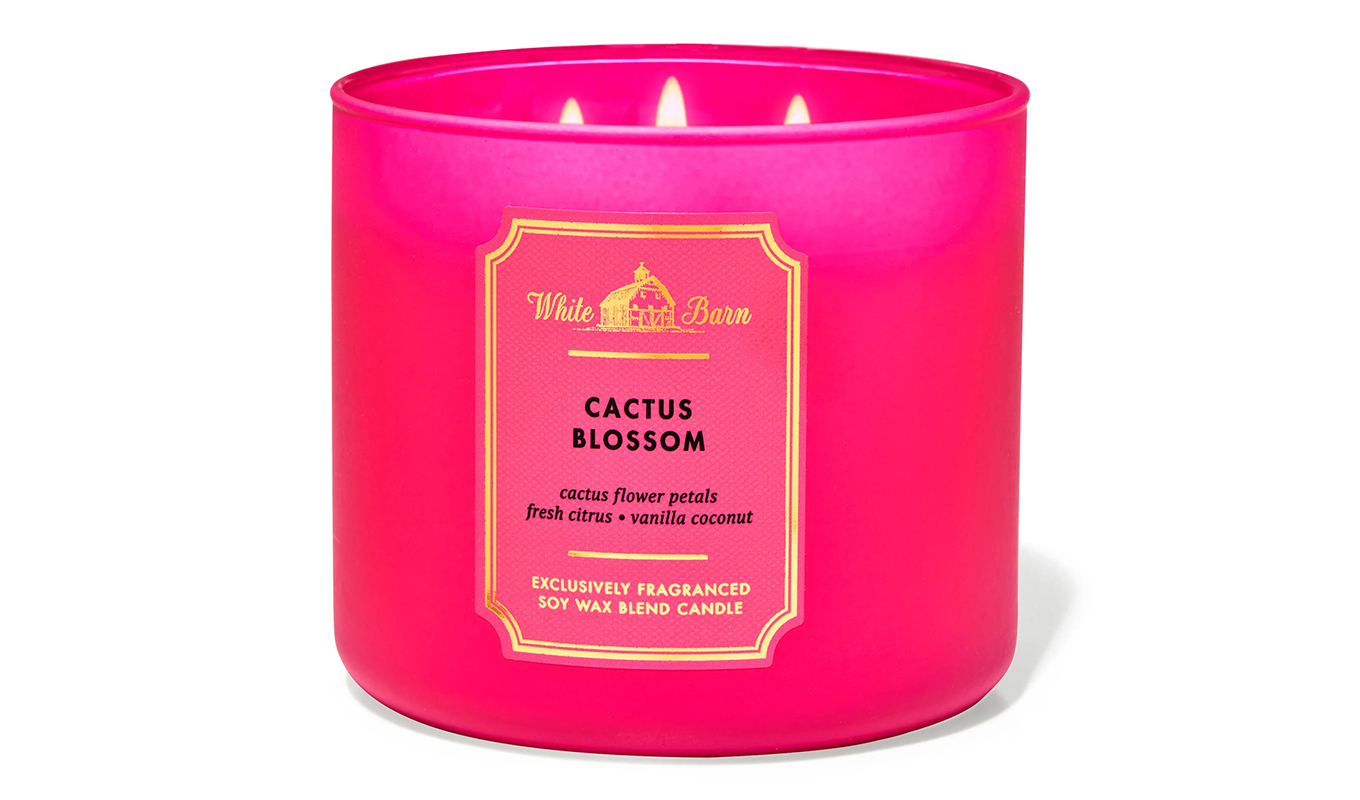 bath and body works candles 7