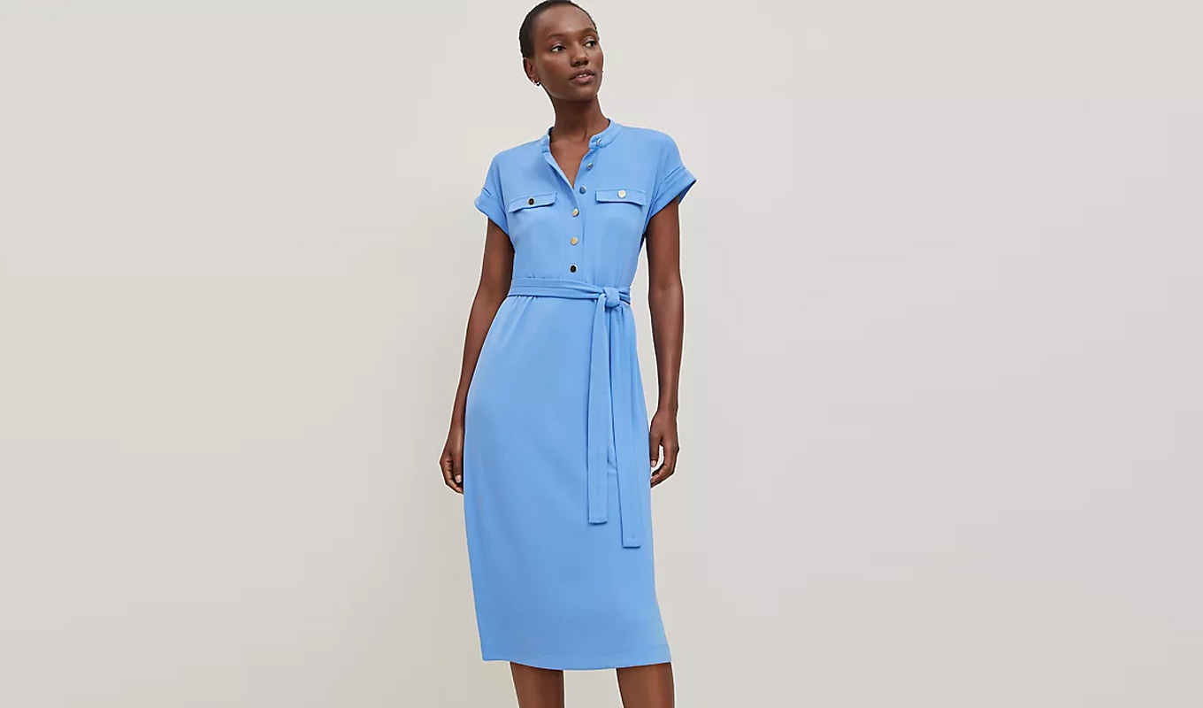 ann taylor dress